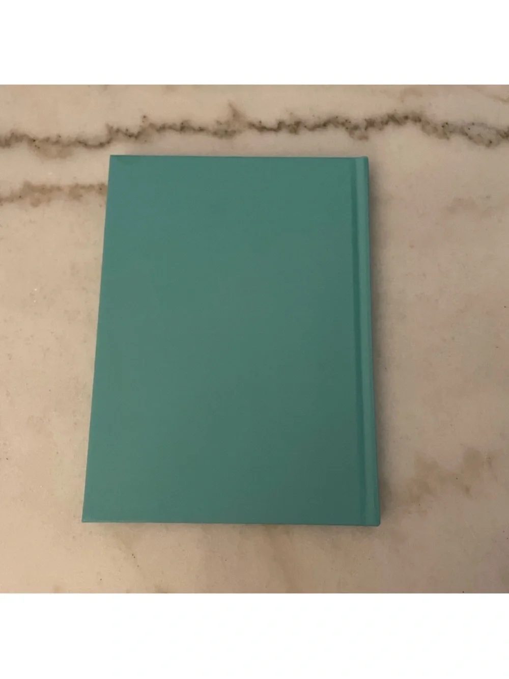 Windows at Tiffany & Co. Coffee Table Book - Picture 6 of 9